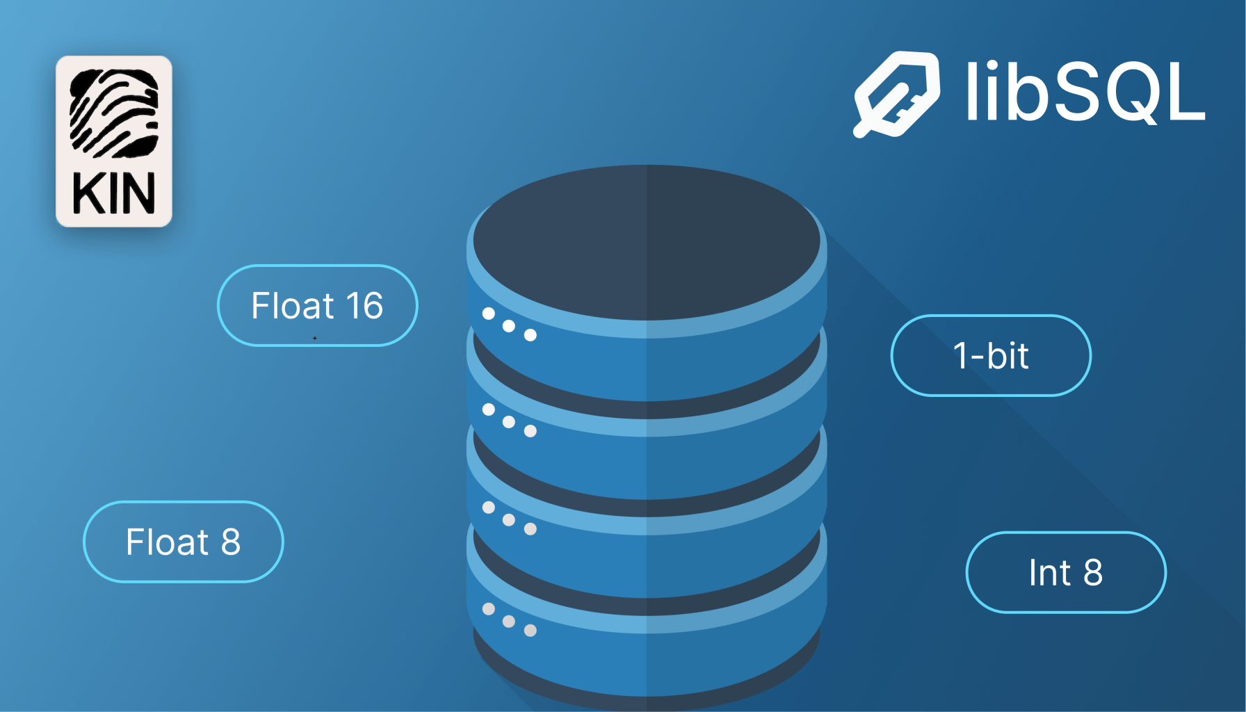 Cover image for The space complexity of vector indexes in LibSQL